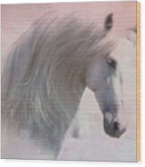 Heavenly Horse Portrait Wood Print