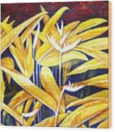 Heliconia Wood Print