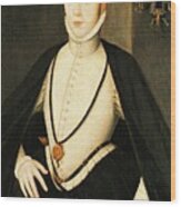 Henry Stewart Lord Darnley Married Mary Queen Of Scots 1565 Wood Print