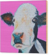 Hereford Cow On Hot Pink Wood Print