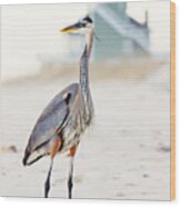 Heron And The Beach House Wood Print