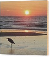 Heron Watching Sunrise Wood Print