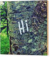 Hi Wood Print