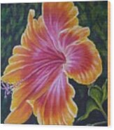 Hibiscus Wood Print