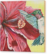 Hibiscus And Hummingbird Wood Print