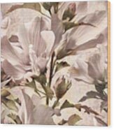 Hibiscus Apagado Wood Print