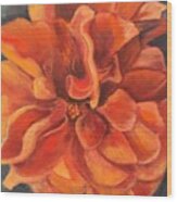 Hibiscus Wood Print