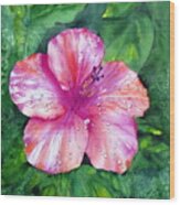 Hibiscus Wood Print
