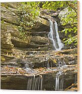 Hidden Falls-hanging Rock State Park Wood Print