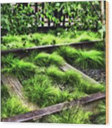 High Line Nyc Railroad Tracks Wood Print