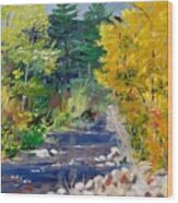 High Mountain Creek Wood Print