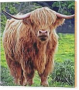 Highland Cow Wood Print