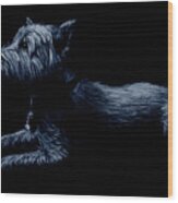 Highland Terrier Wood Print