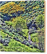 Hillside Poppies - Impressions Two Wood Print