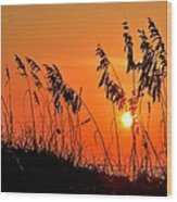 Hilton Head Sunrise Wood Print