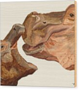 Hippos Wood Print