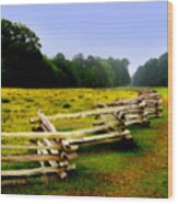 Historic Path Natchez Trace Parkway Wood Print