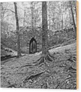 Historic Poinsett Bridge Wood Print