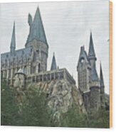 Hogwarts Castle 2 Wood Print