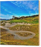 Hole #3 At Chambers Bay Wood Print