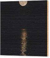 Holiday Magic - Lunar Art Wood Print