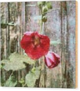 Hollyhock On Weathered Wood - Remember The Days Wood Print