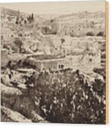Holy Land, Nazareth, C1860. Wood Print