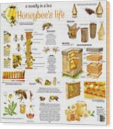 Honey Bees Infographic Wood Print