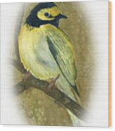 Hooded Warbler Wood Print