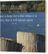 Hope For A Tree Wood Print