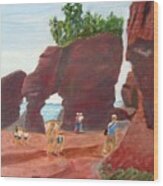 Hopewell Rocks2 Wood Print