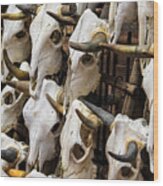 Horned Skulls Wood Print