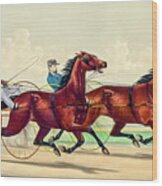 Horse Carriage Race Wood Print