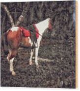 Horse In Red Wood Print