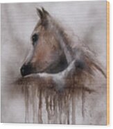 Horse Shy Wood Print
