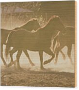 Horses And Dust Wood Print