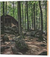 House In The Forest Wood Print