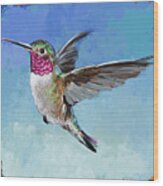 Hummingbird #6 Wood Print