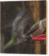 Hummingbird 9 Wood Print