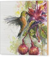 Hummingbird And Fuchsia Wood Print