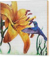 Hummingbird And Yellow Flower Wood Print