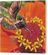 Hummingbird Delight Wood Print