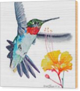 Hummingbird Flittering Daniel Adams Wood Print