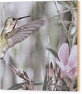 Hummingbird Garden I Wood Print