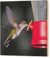 Hummingbird Gets A Drink Wood Print