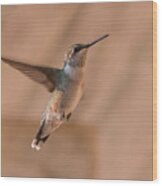 Hummingbird In Flight Wood Print