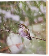 Hummingbird - Let It Snow Wood Print