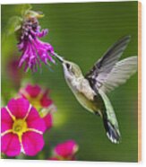 Hummingbird With Flower Wood Print