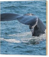 Humpback Whale Fluke Wood Print