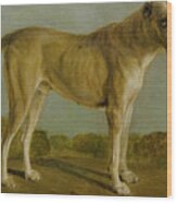 Hunting Dog Wood Print